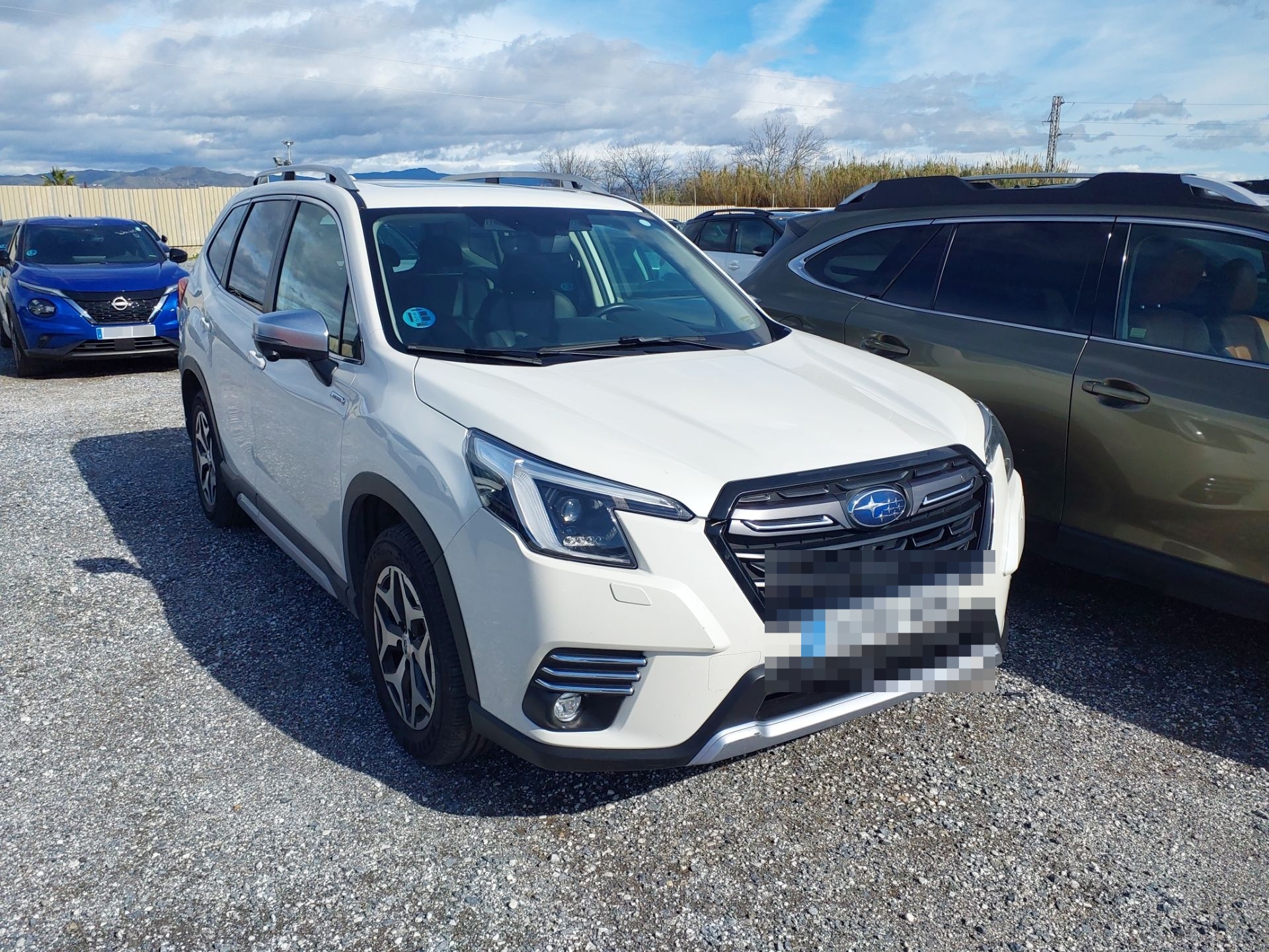 SUBARU FORESTER 2.0 HEV 150 Executive Plus